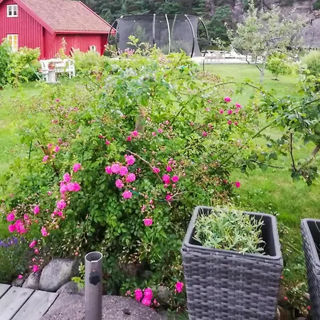 Holiday home Beautiful In With Wifi Sogne